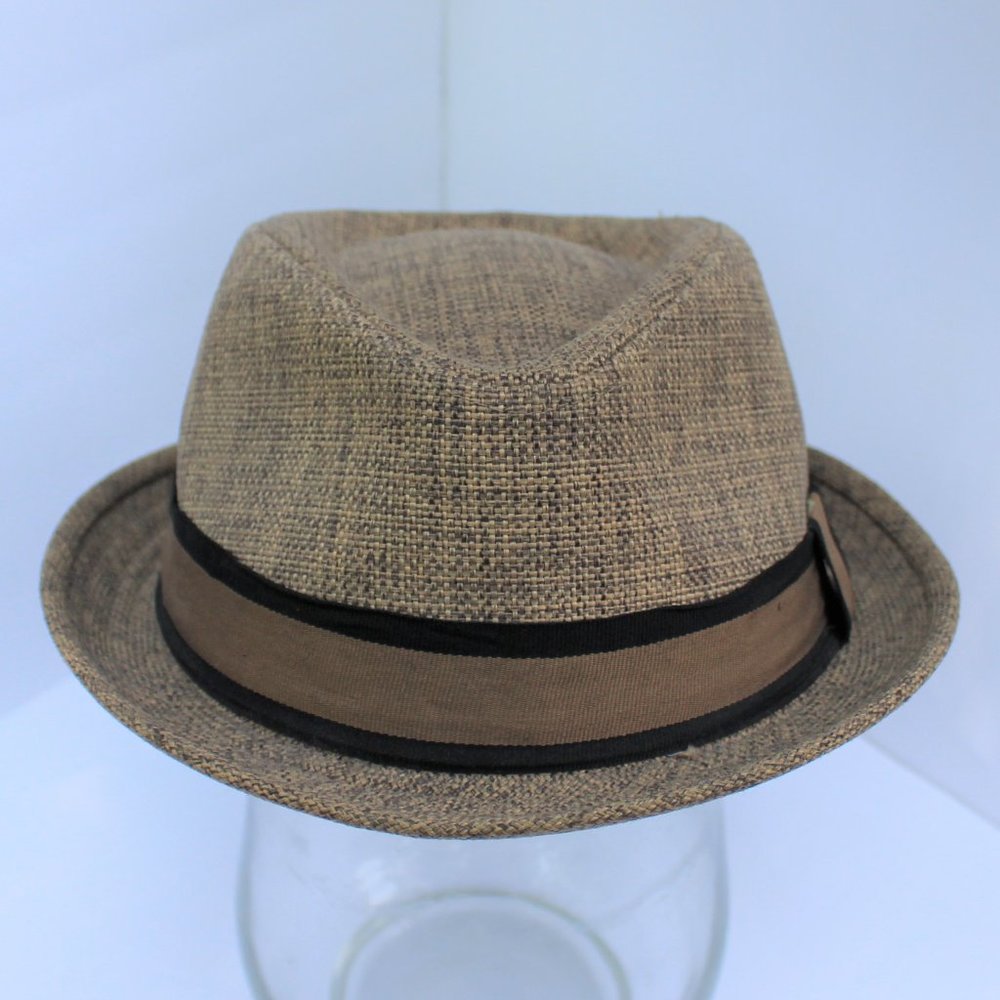Multi-colored Brown Woven Fedora (Target brand)
